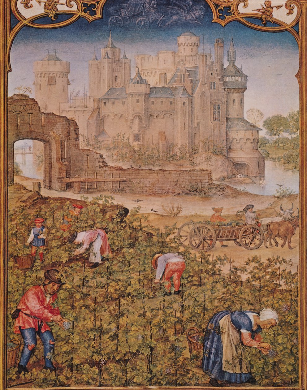 Fol.9v Miesiąc wrzesień: Zbiór wina, z Breviarium Grimani, ok. 1515 autorstwa Flemish School