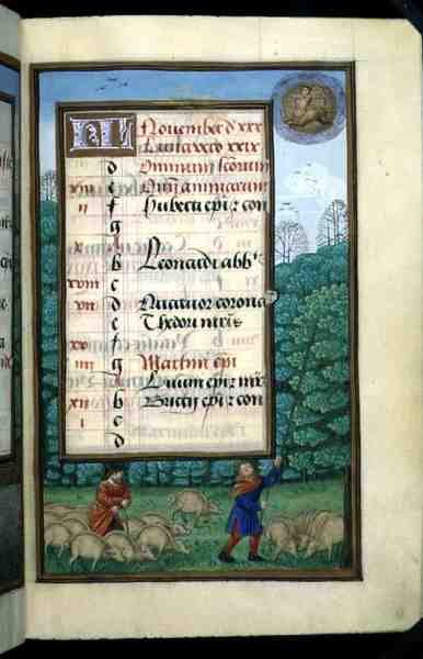Ms 1058-1975 f.11r Pasterstwo świń i Beating Oaks, podświetlana strona kalendarza na listopad, z Księgi Godzin, ok. 1500 (welin) autorstwa Flemish School