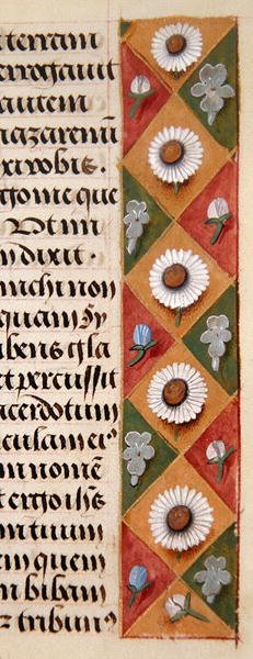 Ms. 1058-1975, f.16r: fragment bordiury kwiatowej z Godzinki, ok. 1500 (welum) autorstwa Flemish School
