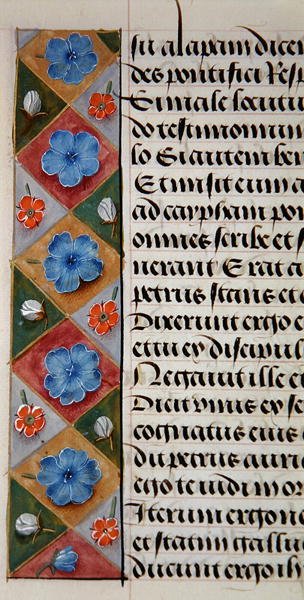 Ms. 1058-1975, f.17v: fragment bordiury kwiatowej z Księgi Godzin, ok. 1500 (welin) autorstwa Flemish School