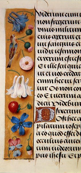 Ms. 1058-1975, f.22v: fragment bordiury kwiatowej z Księgi Godzin, ok. 1500 (welum) autorstwa Flemish School