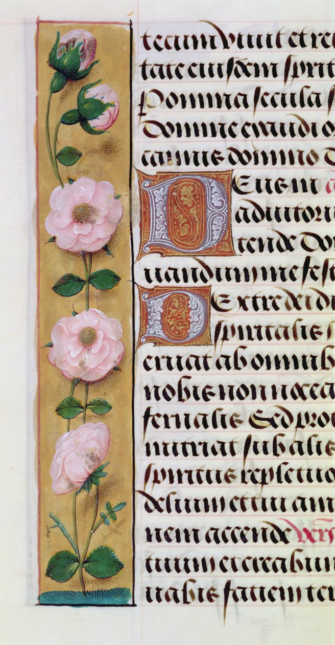 Ms. 1058-1975, f.34v: detal kwiatowego obramowania z Księgi godzin, ok. 1500 r. autorstwa Flemish School