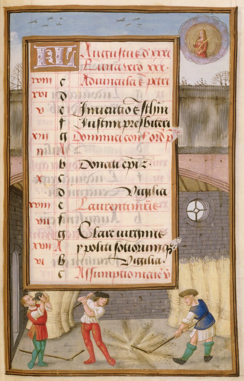 Ms 1058-1975 f8r Młócenie kukurydzy w stodole, oświetlona strona kalendarza na sierpień, z Księgi godzin, ok. 1500 autorstwa Flemish School