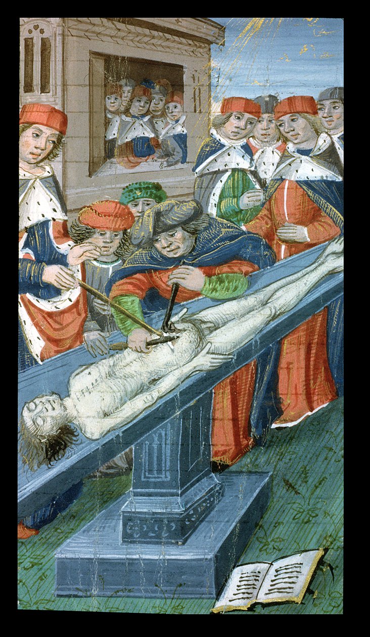 Pani Hunter 9 10r Sekcje, z De Medina Fen I. II, przez Avicenna (980-1037) autorstwa Flemish School