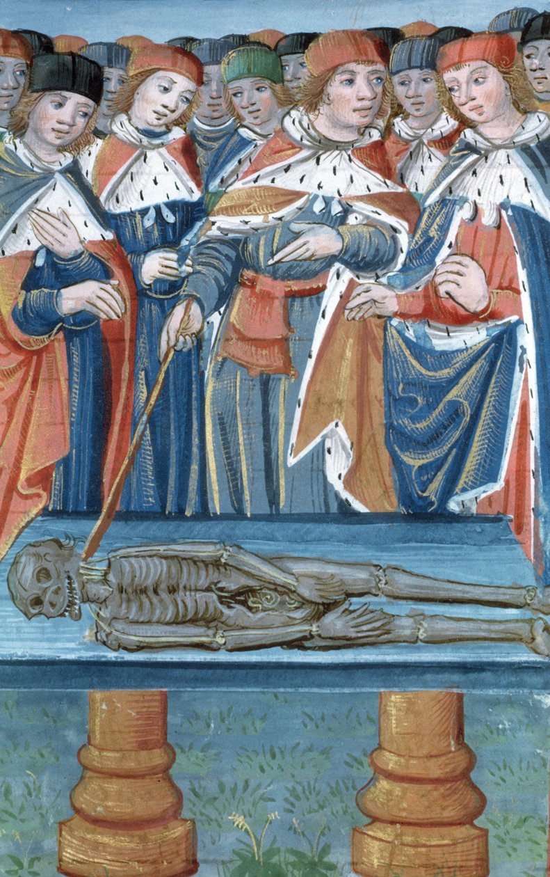 Pani Hunter 9 30v Sekcje, z De Medina Fen I. II, przez Avicenna (980-1037) autorstwa Flemish School