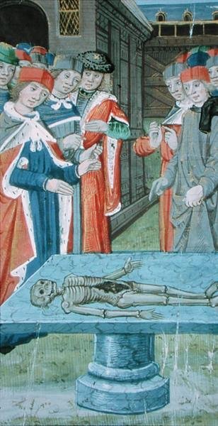 Pani Hunter 9 f.12v Dissection , z „De Medina Fen I. II, by Avicenna (980-1037)” (welum) autorstwa Flemish School