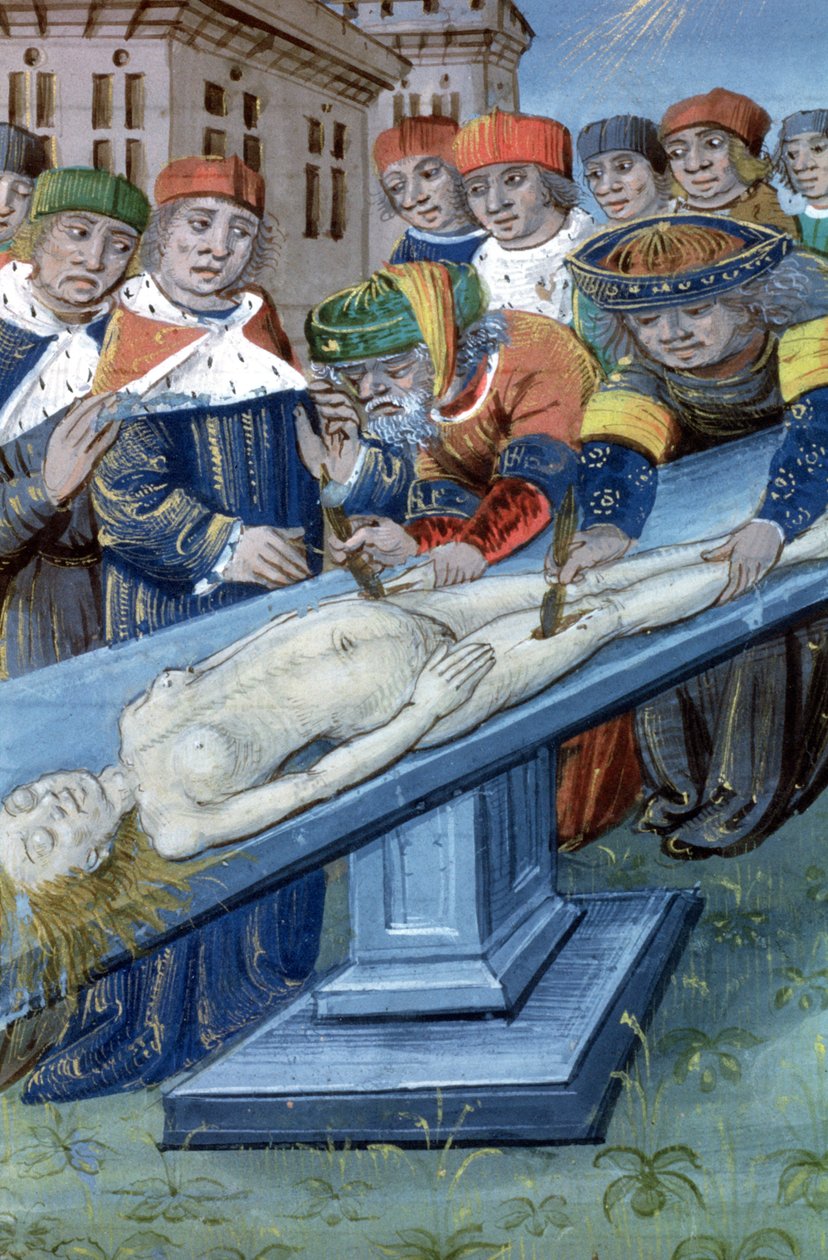 Pani Hunter 9 f.22r Sekcje, z De Medina Fen I. II, przez Avicenna (980-1037) autorstwa Flemish School