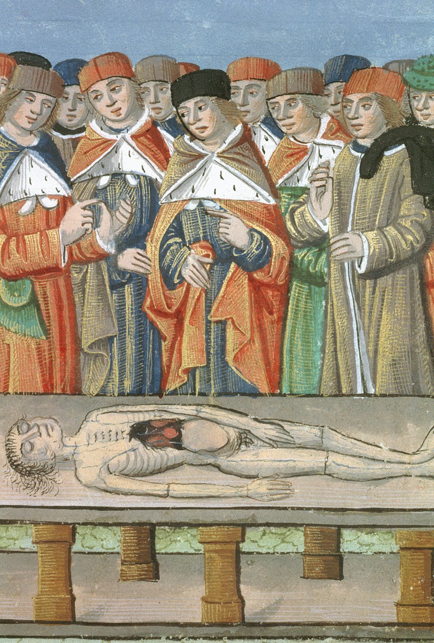 Pani Hunter 9 f.36r Sekcje, z De Medina Fen I. II, przez Avicenna (980-1037) autorstwa Flemish School