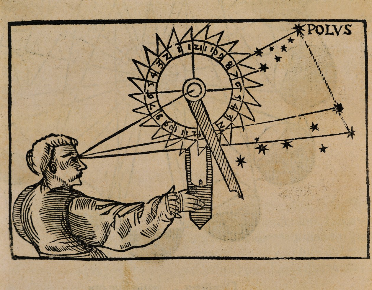 Petrus Apianus obserwujący ruch gwiazd autorstwa Flemish School