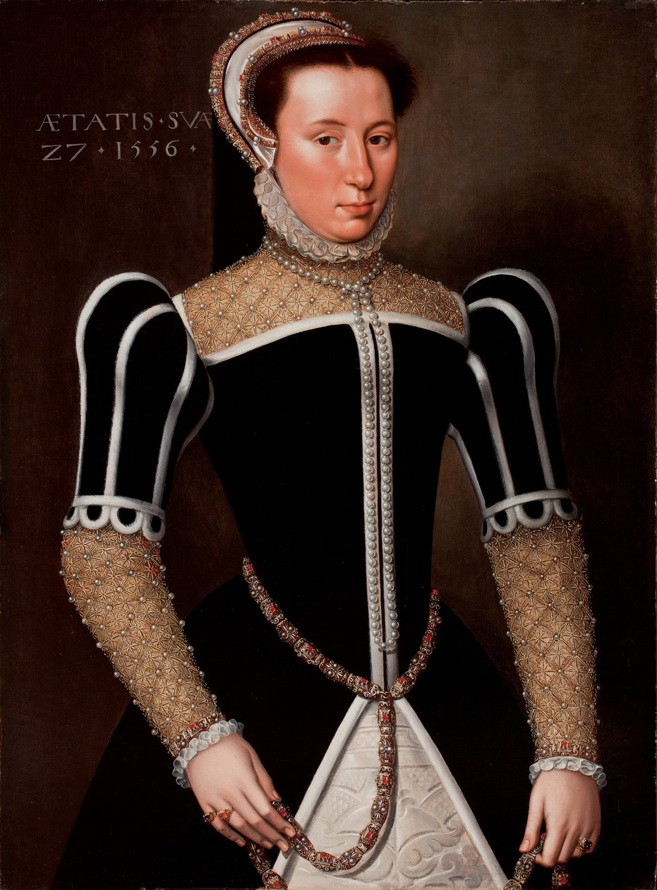 Portret kobiety, 1556 autorstwa Flemish School