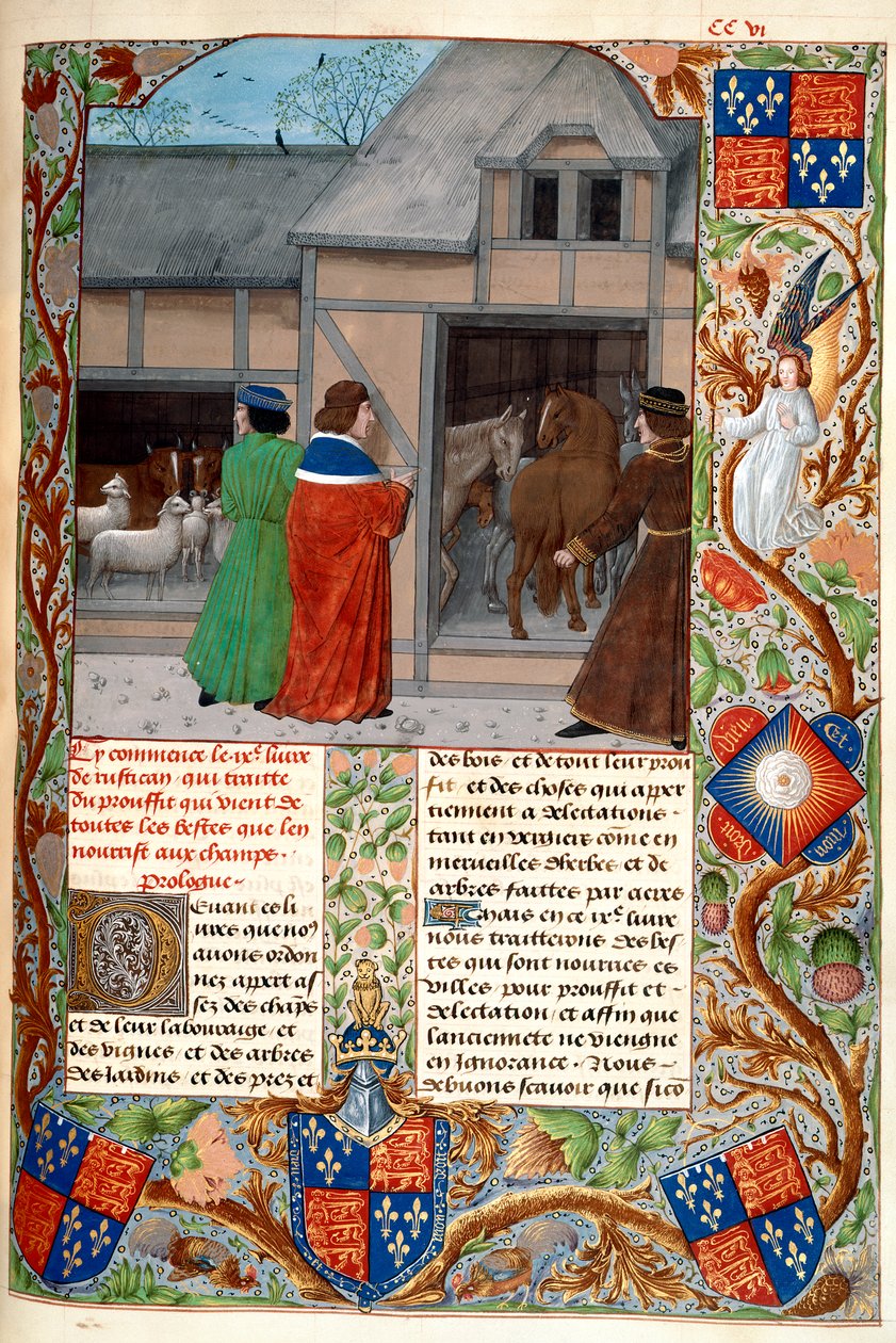 Royal 14 E. VI, f.215, Autor z końmi i owcami, z „Rustican, Uprawa Ziem” lub „Commoda Ruralia”, ok.1473-83 (welum); autorstwa Flemish School