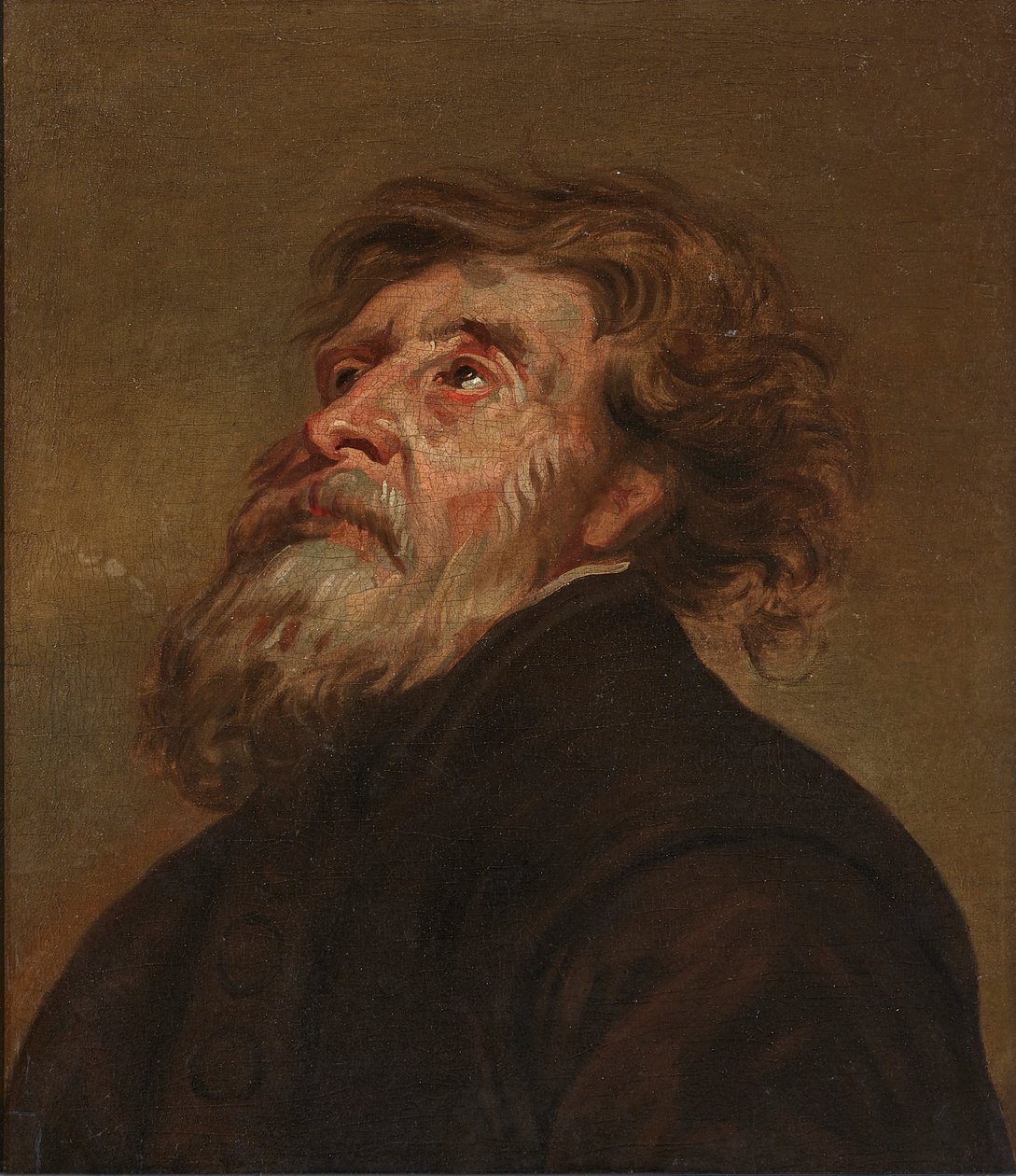 Studium mężczyzny (olej na płótnie) autorstwa Flemish School
