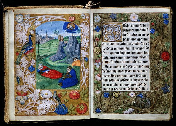 Agonia w ogrodzie, miniatura z Modlitewnika Stafforda (welin) autorstwa Flemish School