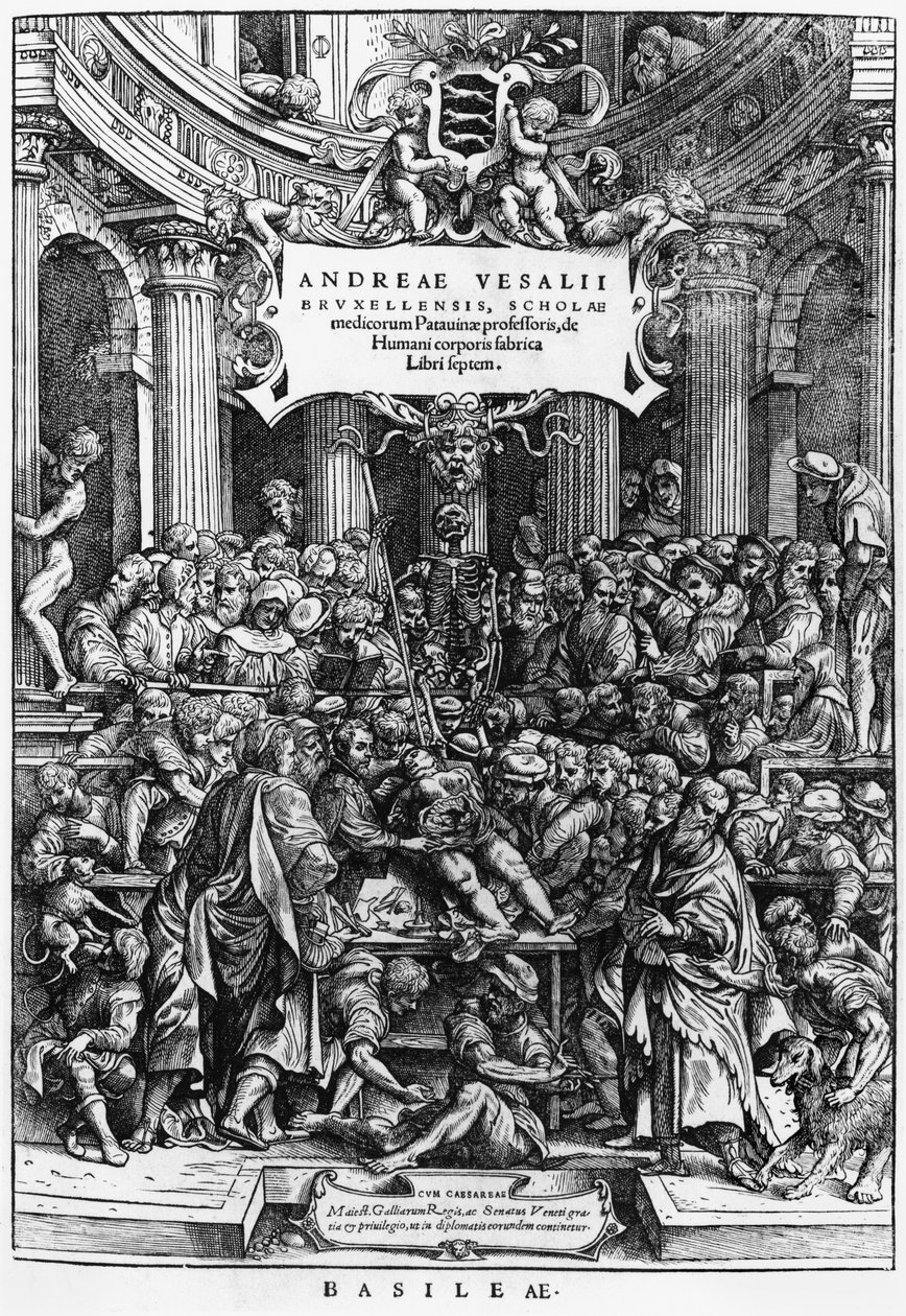 Lekcja anatomii Andreasa Vesaliusa (1514-64) w szkole medycznej w Brukseli, strona tytułowa z De Humani Corporis Fabrica, opublikowanej w Bazylei, 1555 (patrz także 466697) autorstwa Flemish School