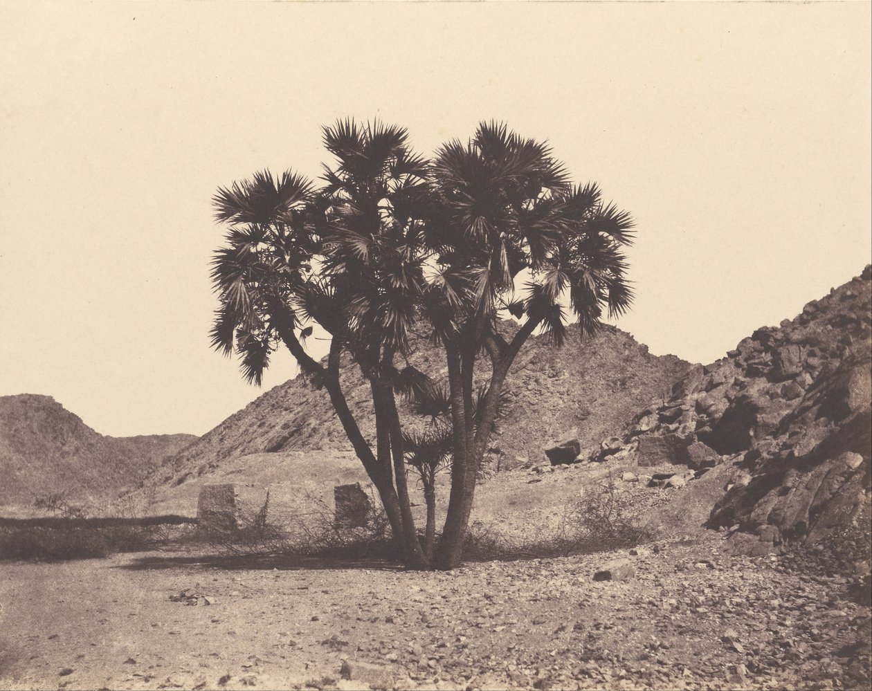 Egipt i Nubia. Miejsca i zabytki autorstwa Félix Teynard