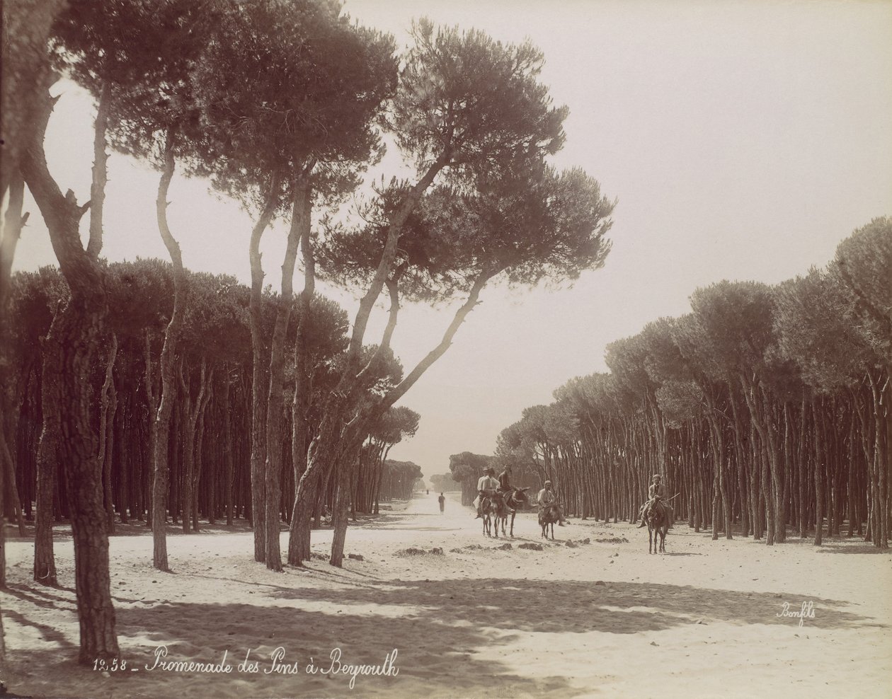 Promenade des Pins w Bejrucie, ca. 1870. autorstwa Félix Bonfils