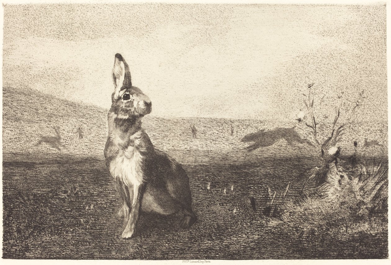 Zając autorstwa Félix Bracquemond after Albert de Balleroy