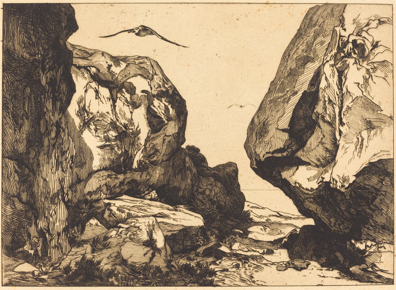 Wąwóz w skałach autorstwa Félix Bracquemond after Jules Laurens