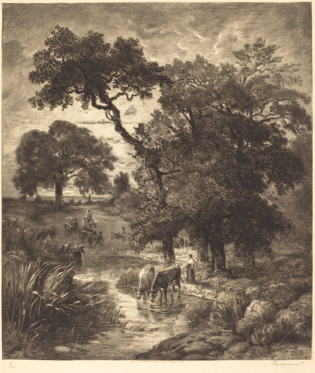 Wieczór autorstwa Félix Bracquemond after Théodore Rousseau
