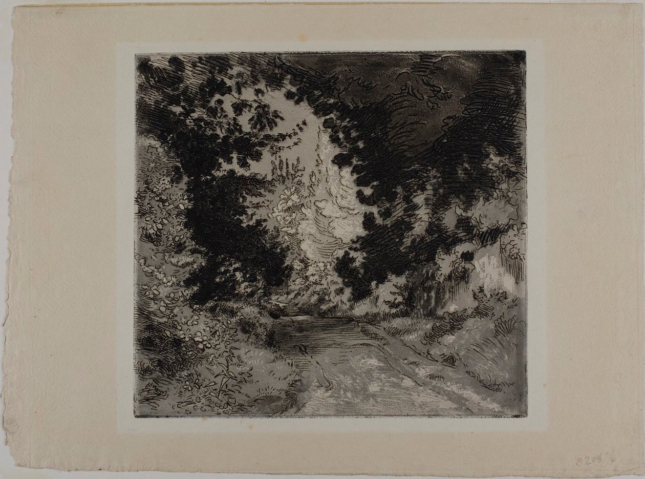 Chemin de Coutures w Sèvres autorstwa Félix Henri Bracquemond