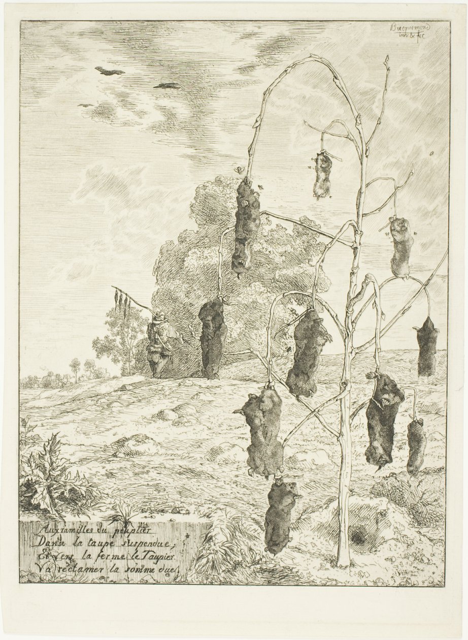 Krety autorstwa Félix Henri Bracquemond