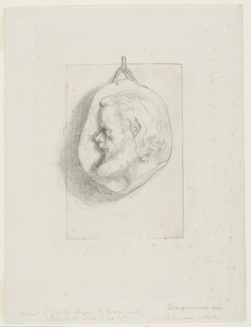 Portret profilowy Charlesa Meryona autorstwa Félix Henri Bracquemond