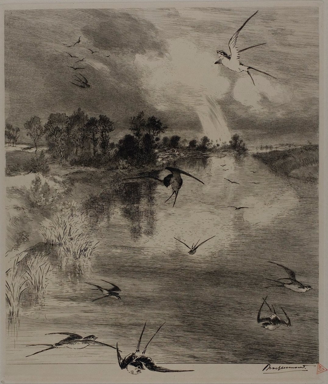 Jaskółki autorstwa Félix Henri Bracquemond