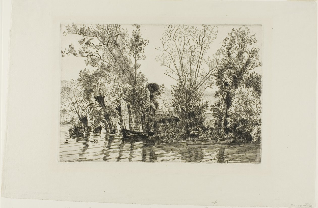 Wierzby w Mottiaux autorstwa Félix Henri Bracquemond