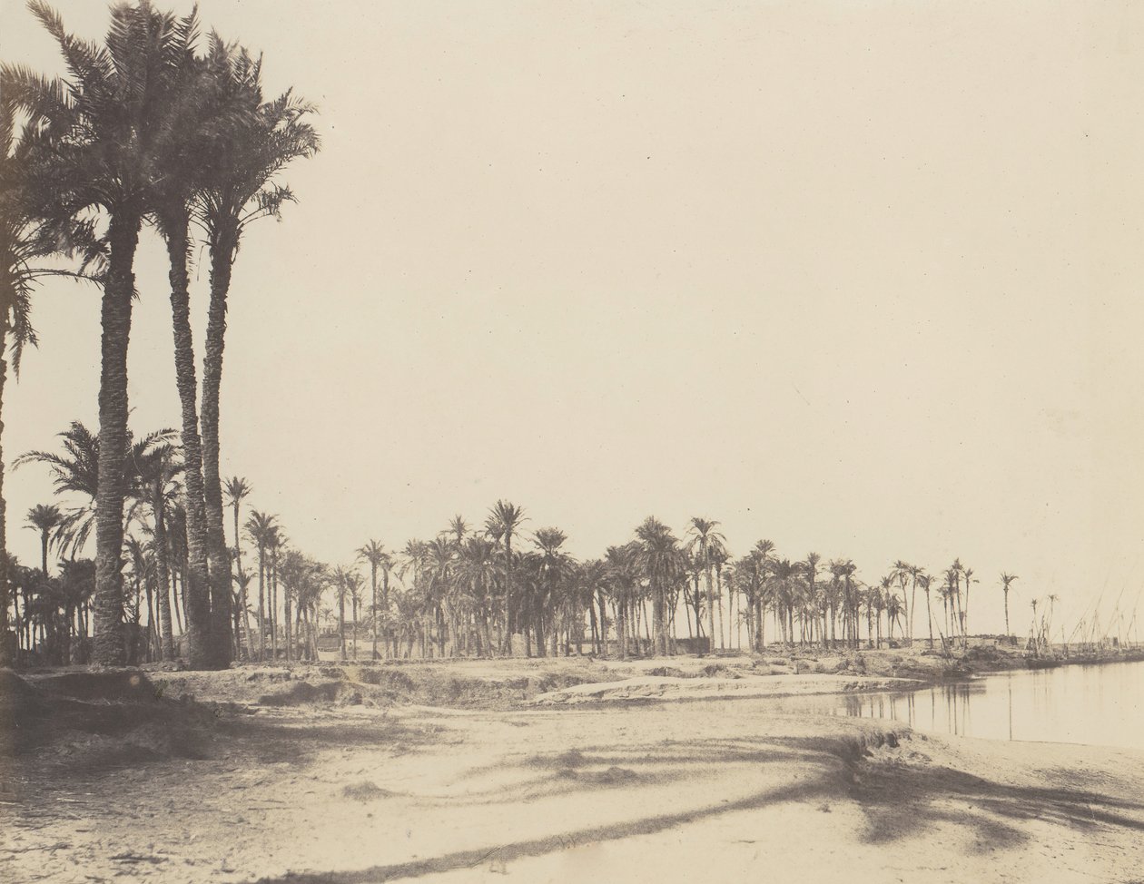 El-Nâcérah, Dattiers, Rives du Nil et Barques, 1851-52, druk 1853-54. autorstwa Félix Teynard