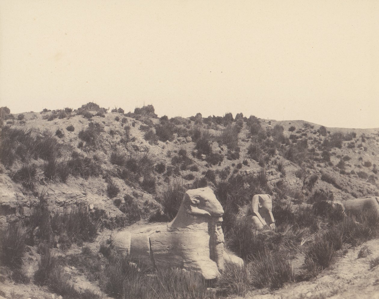 Karnak Teby, Sfinks z ludzką głową i głową barana, w Y, 1851-52, druk 1853-54. autorstwa Félix Teynard
