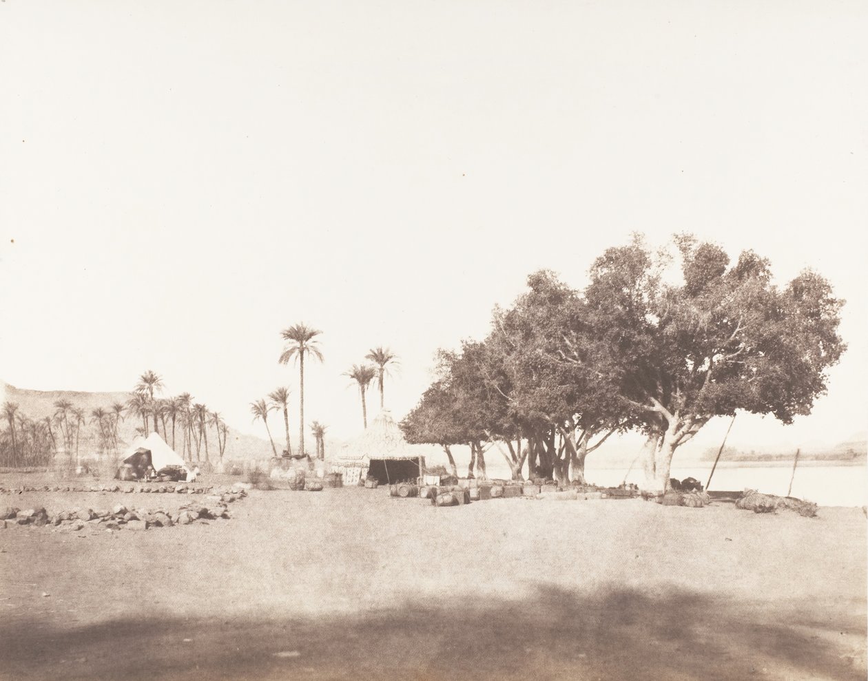 Korósko, Sykomory i obóz karawany dla Sennara, 1851-52, druk 1853-54. autorstwa Félix Teynard