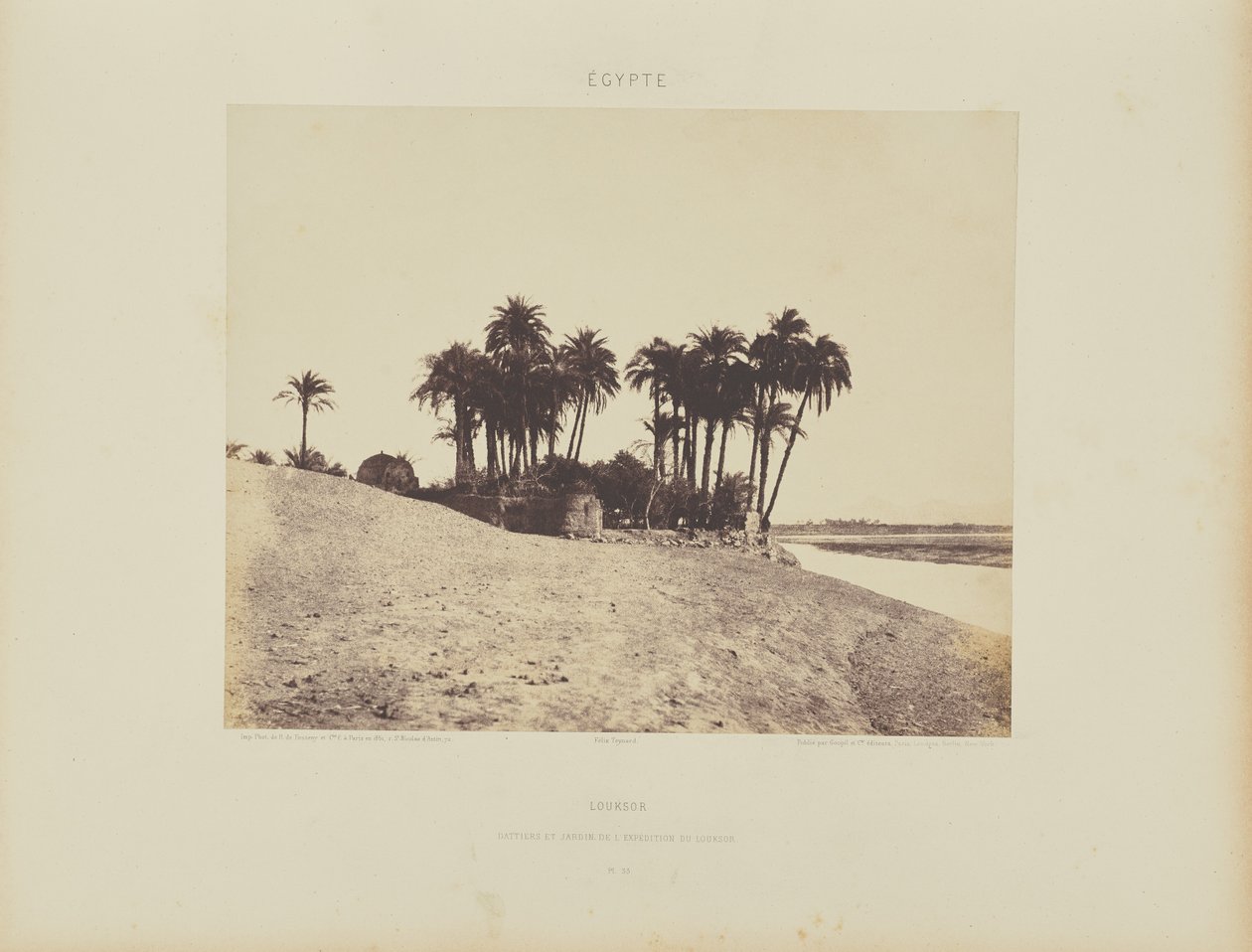 Luksor. Palmy daktylowe i ogród Luxor Expedition Garden autorstwa Félix Teynard