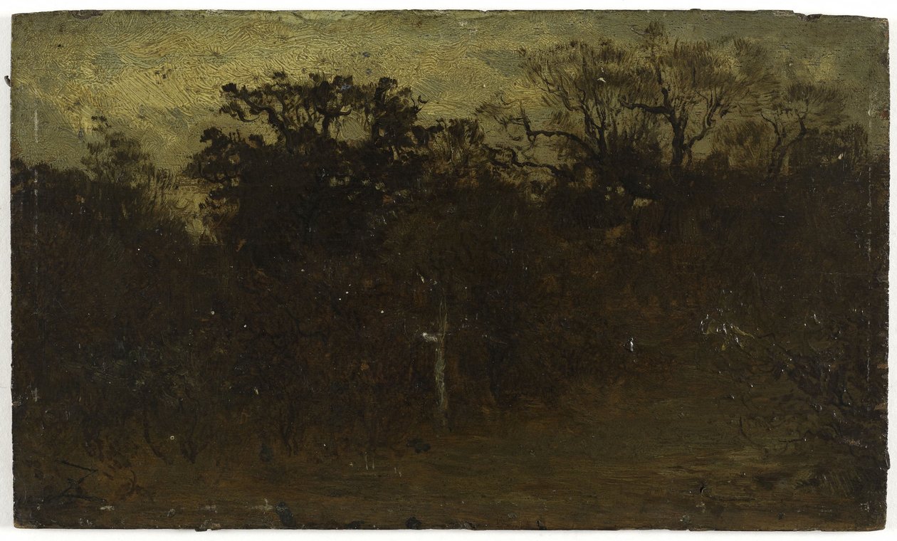 Leśny zakątek, między 1850 a 1860 (olej na drewnie) autorstwa Félix Ziem