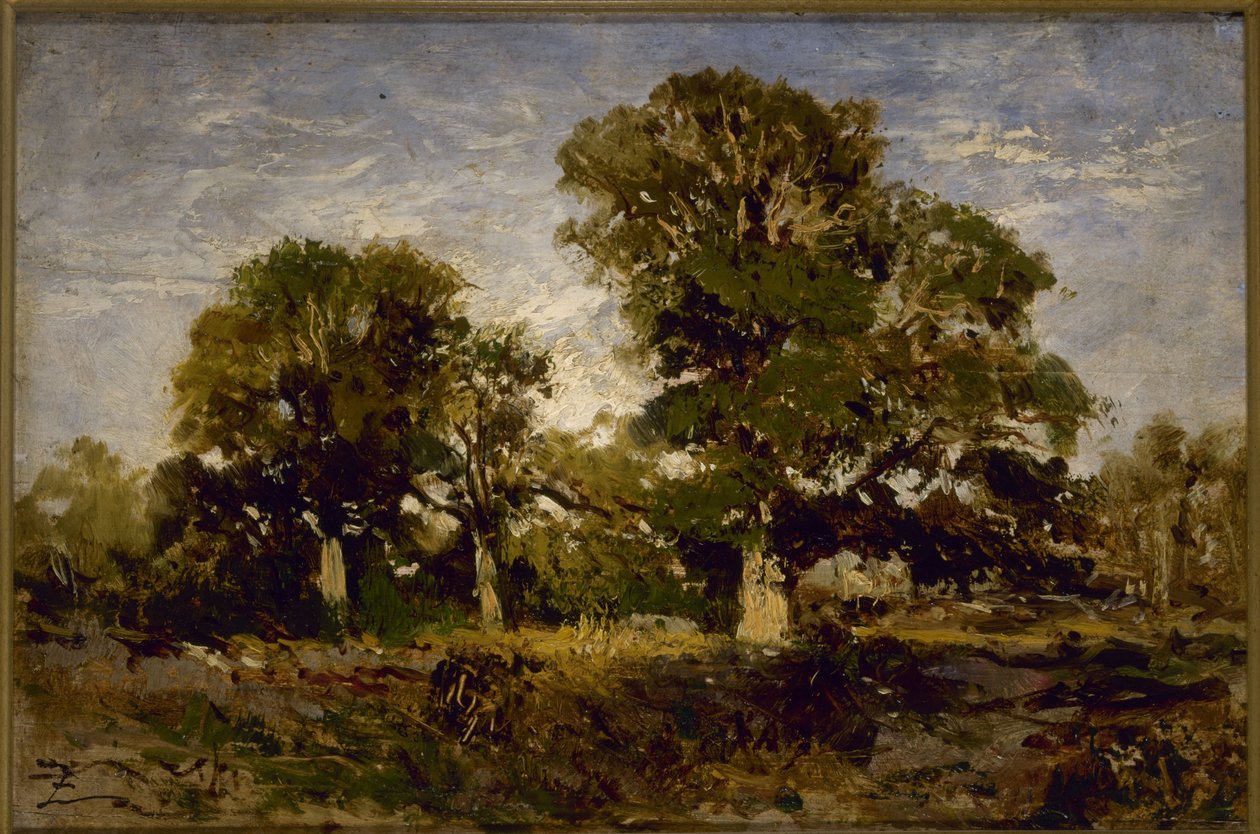 Dęby, między 1850 a 1860 (olej na drewnie) autorstwa Félix Ziem