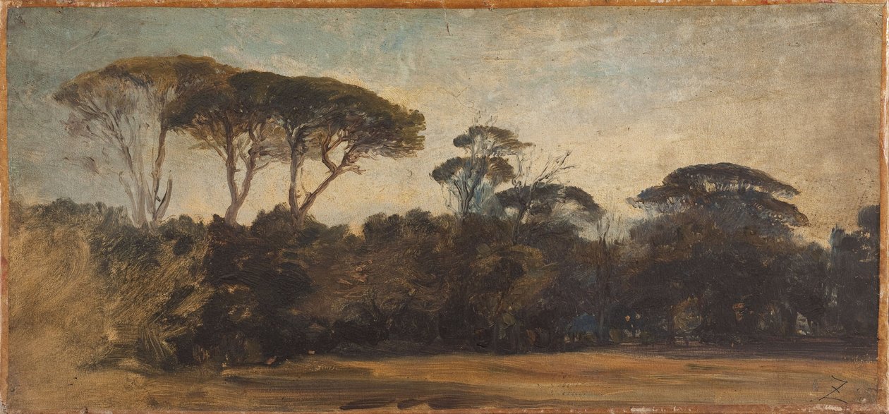 Sosny parasolowe w pobliżu Neapolu, ok. 1847 (olej na papierze na płótnie) autorstwa Félix Ziem