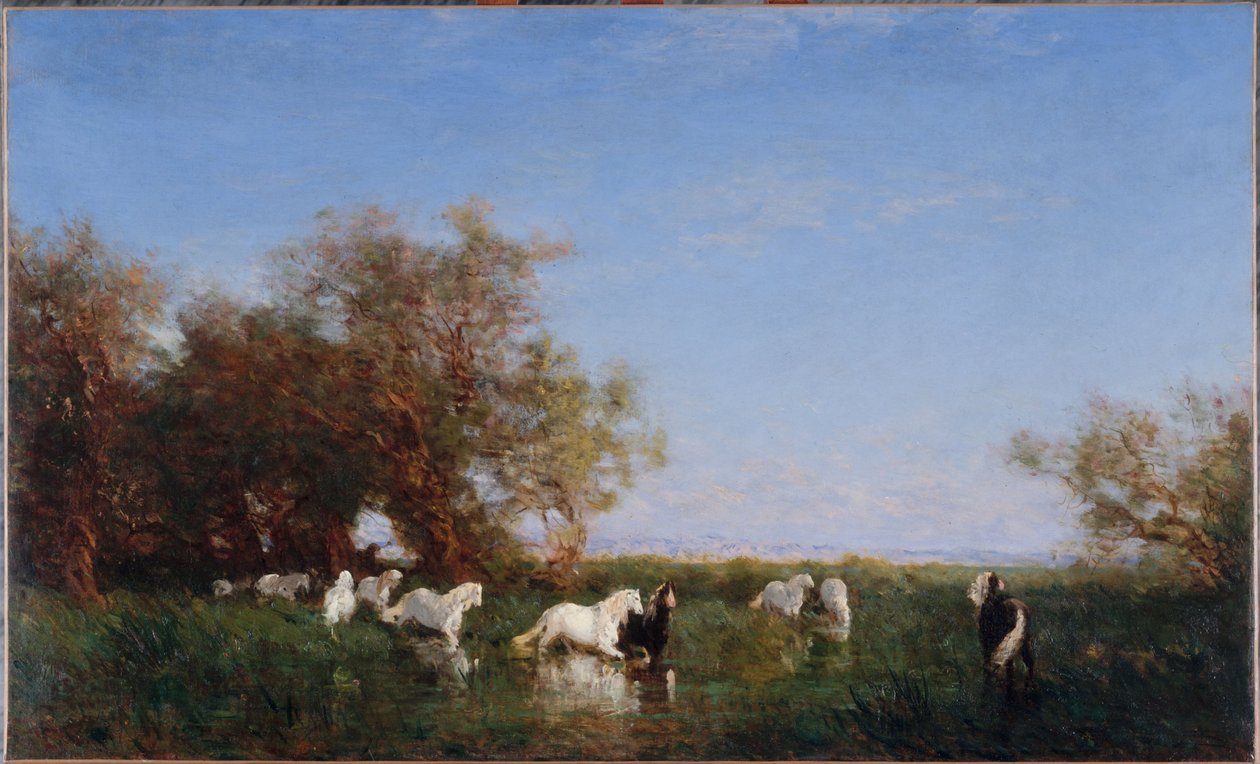 Dzikie konie w Camargue, między 1890 a 1895 (olej na płótnie) autorstwa Félix Ziem