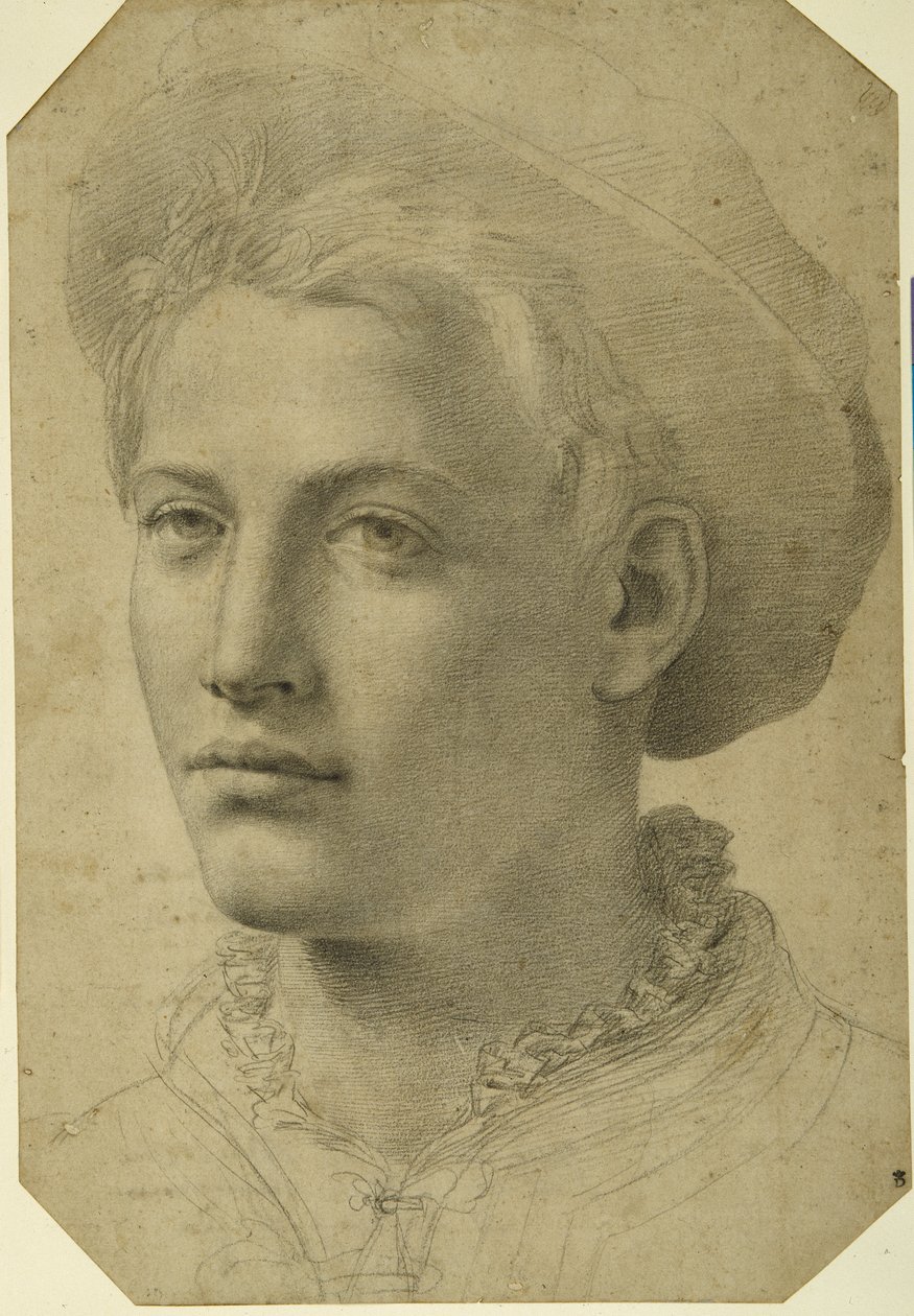 Portret głowy młodzieńca w czapce, ok. 1530-40 (czarna kreda na białym papierze) autorstwa Florentine School