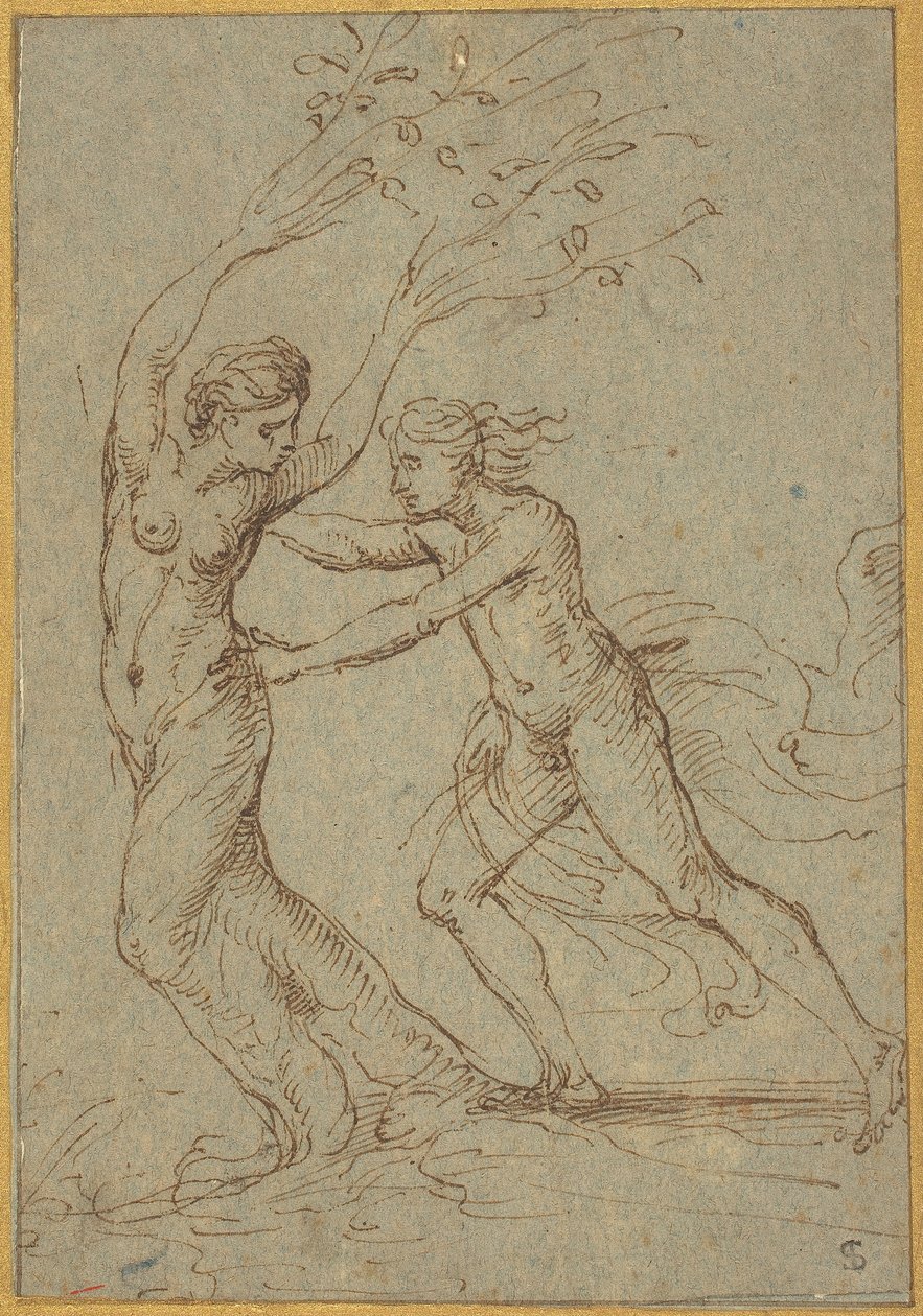 Apollo i Daphne autorstwa Follower of Giulio Romano