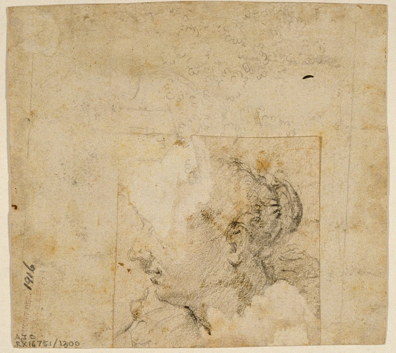 Głowa kobiety w profilu w lewo; Szkic drzew i budynku autorstwa Follower of Jacopo Bassano