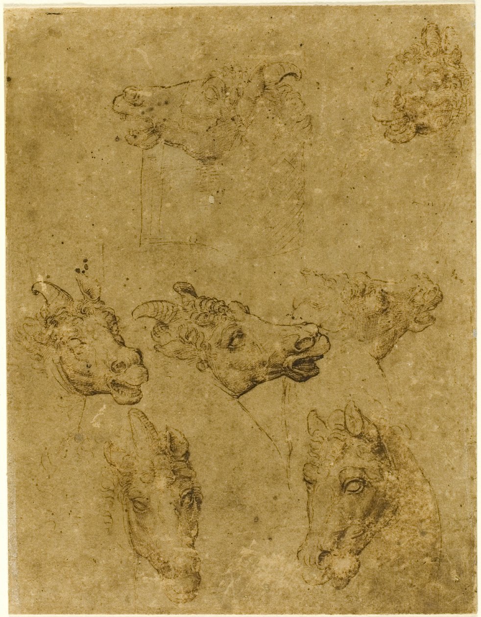 Głowy koni i jednorożców autorstwa Follower of Leonardo da Vinci