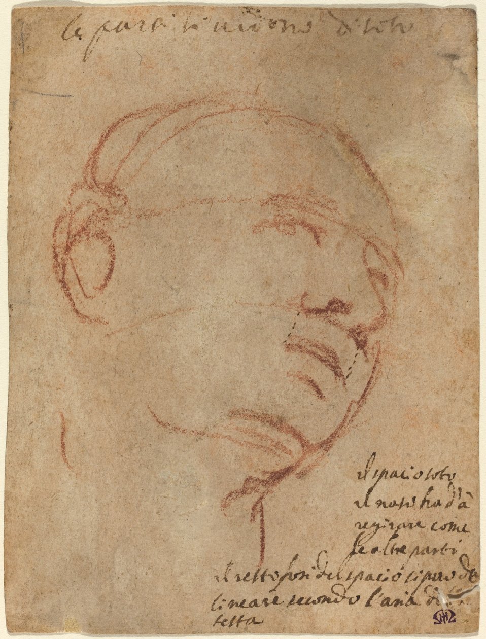 Głowa mężczyzny autorstwa Follower of Michelangelo