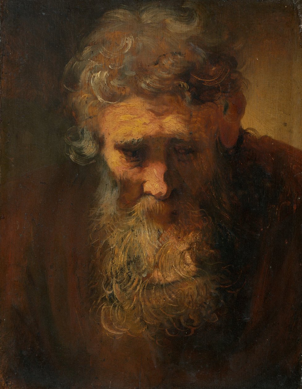 Studium starego człowieka autorstwa Follower of Rembrandt van Rijn