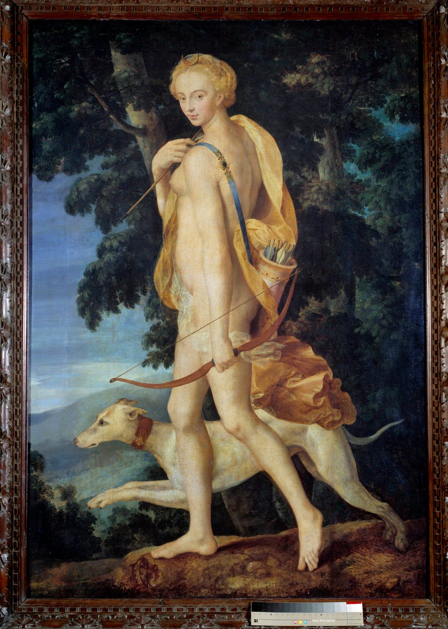 Bogini uzbrojonej w łuk towarzyszy pies. Obraz Ecole de Fontainebleau. XVI w. niedz. 1,91 x 1,32 m - Bogini Diana Łowczyni uzbrojona w łuk w towarzystwie psa. Obraz Szkoły Fontainebleau. 16 wiek. 1,9 autorstwa Fontainebleau School