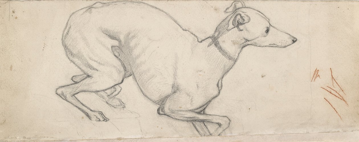 Studium charta, połowa XIX wieku autorstwa Ford Madox Brown