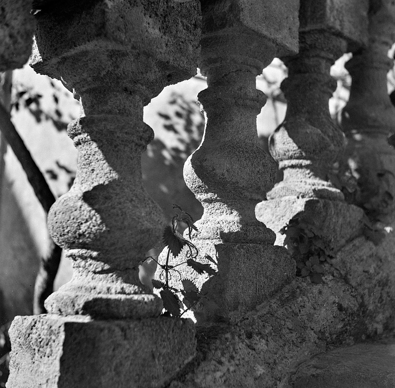 Szczegół balustrady w Villa Bonocore Maletto Palermo autorstwa Fosco Maraini