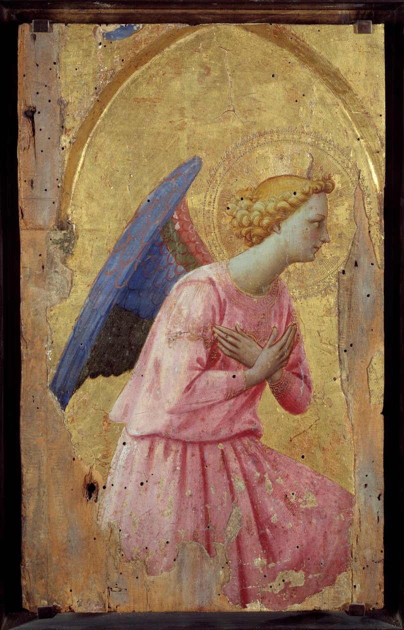 Anioł w adoracji Obraz Fra Giovanniego (Guido di Pietro) dit Fra Angelico (1387-1455) autorstwa Fra  Angelico