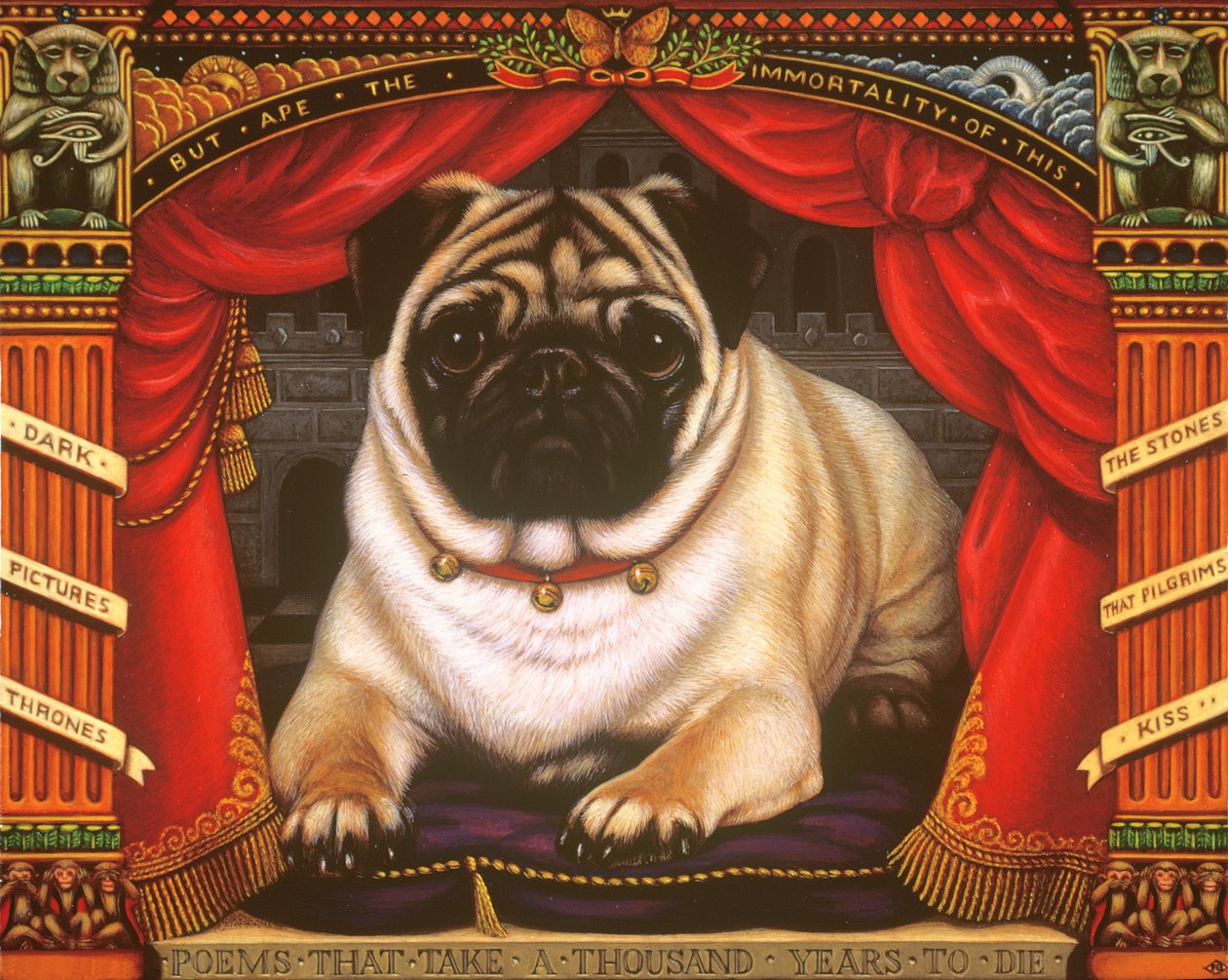 Mops Nabokovs, 2006 (olej i tempera na panelu) autorstwa Frances Broomfield
