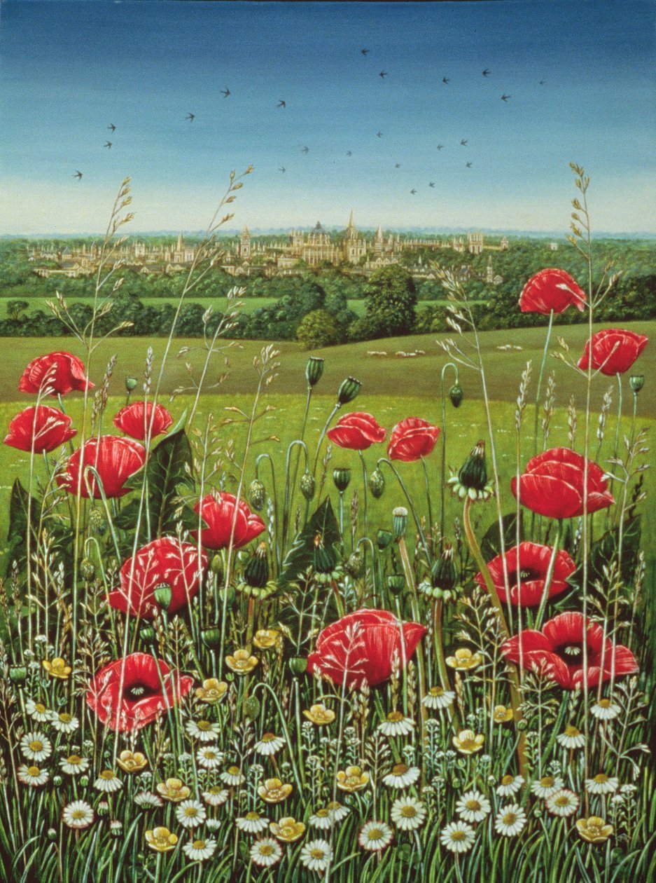 Oxford Poppies, 1983 (olej i tempera na panelu) autorstwa Frances Broomfield