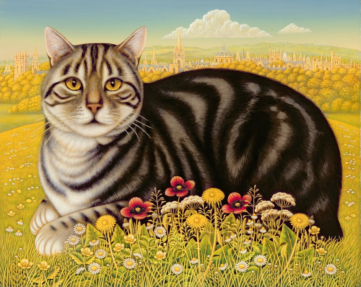 The Oxford Cat, 2001 (olej i tempera na panelu) autorstwa Frances Broomfield