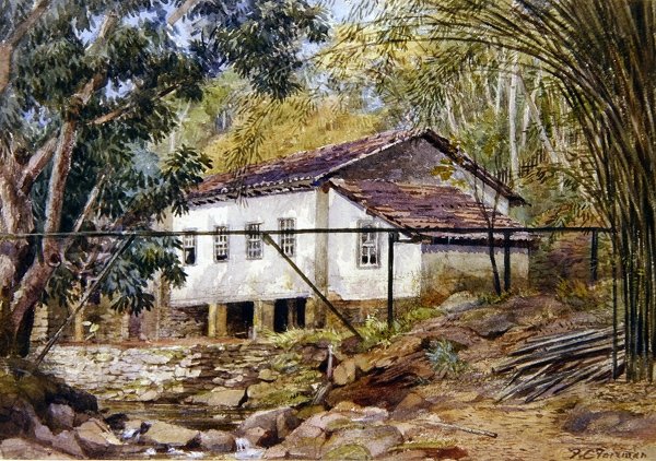 Brytyjskie Indie Zachodnie (akwarela na papierze) autorstwa Frances C. Fairman